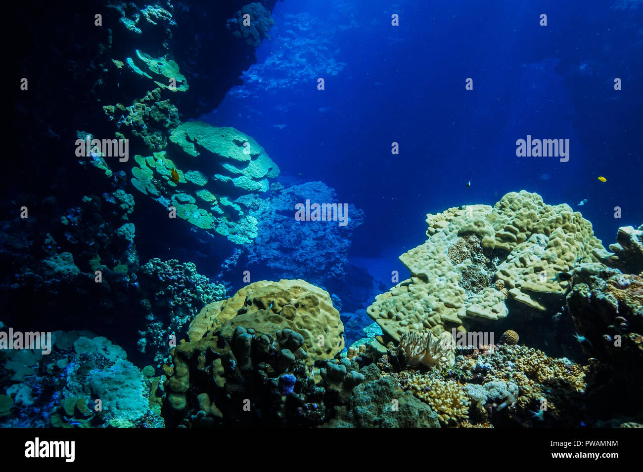 Caves of Claudia reef at The Red Sea Egypt Stock Photo