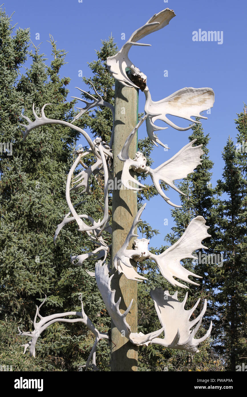 Old Crow, Canada. Native american indian totem pole made out of moose and caribou antlers. Trees and blue sky in the bakground. Stock Photo