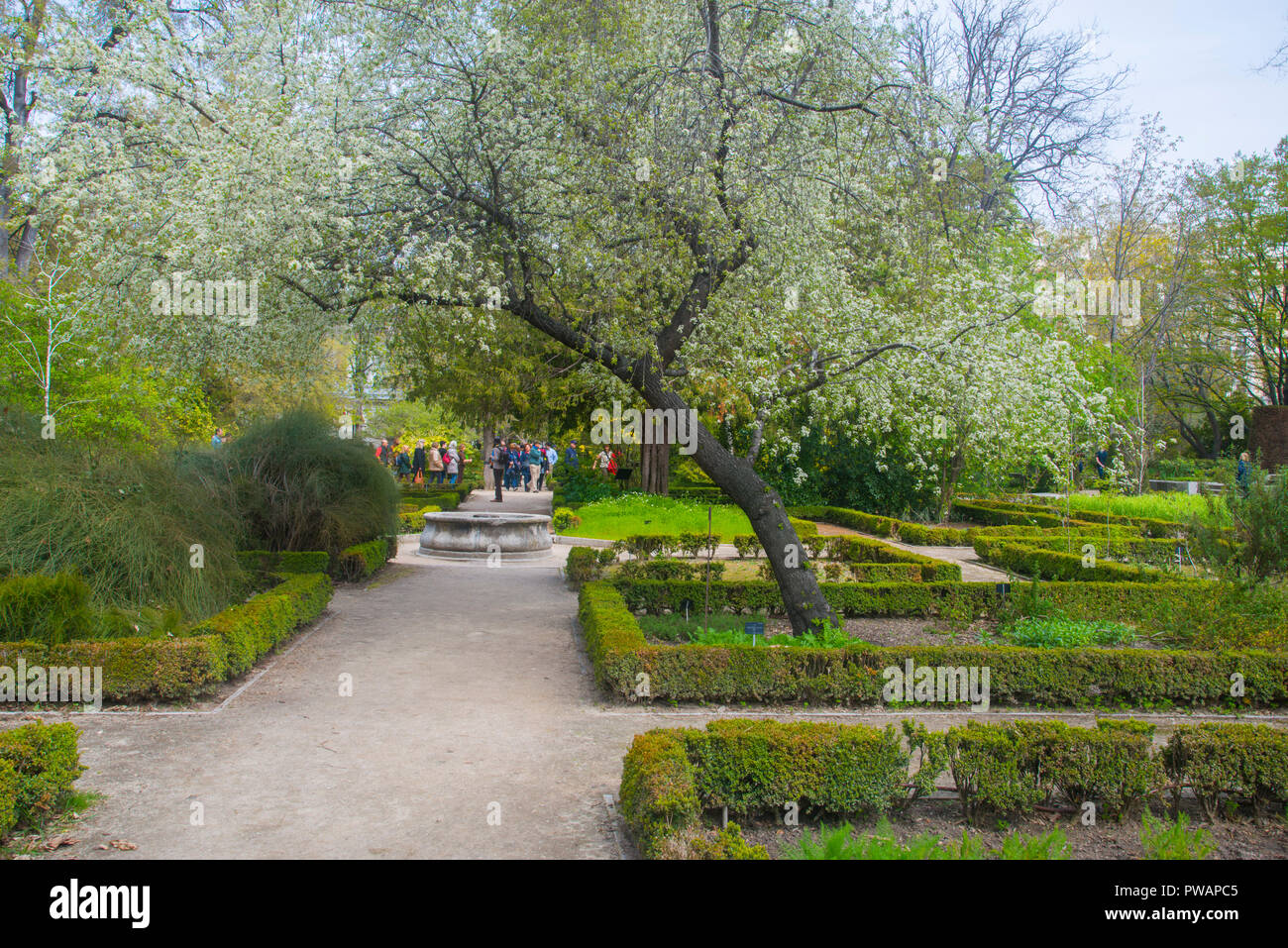 Royal Botanical garden, Madrid, Spain. Stock Photo
