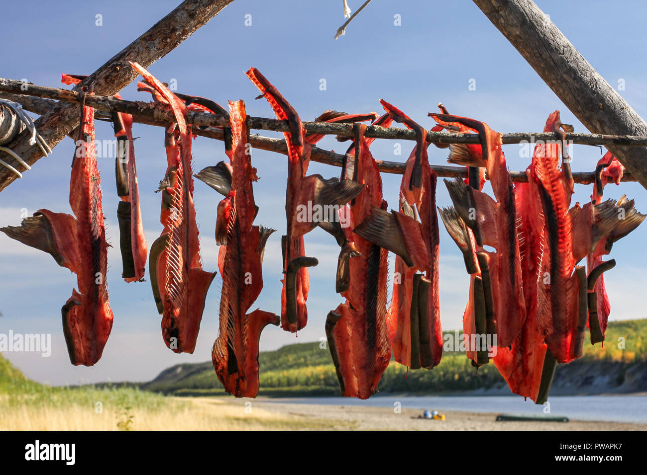 Fish drying rack alaska hi-res stock photography and images - Alamy