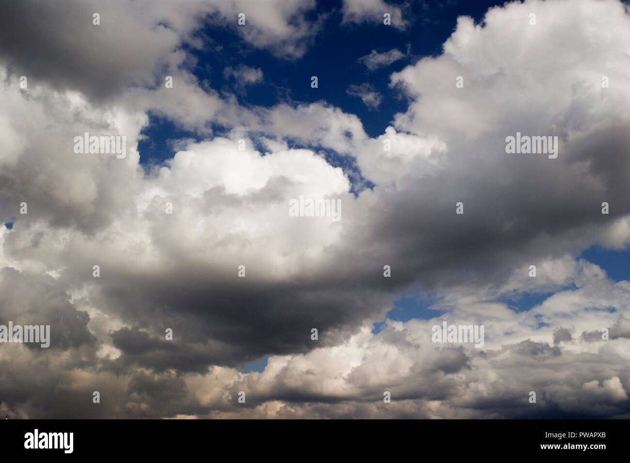 Cumulus type cloudy sky background Stock Photo - Alamy