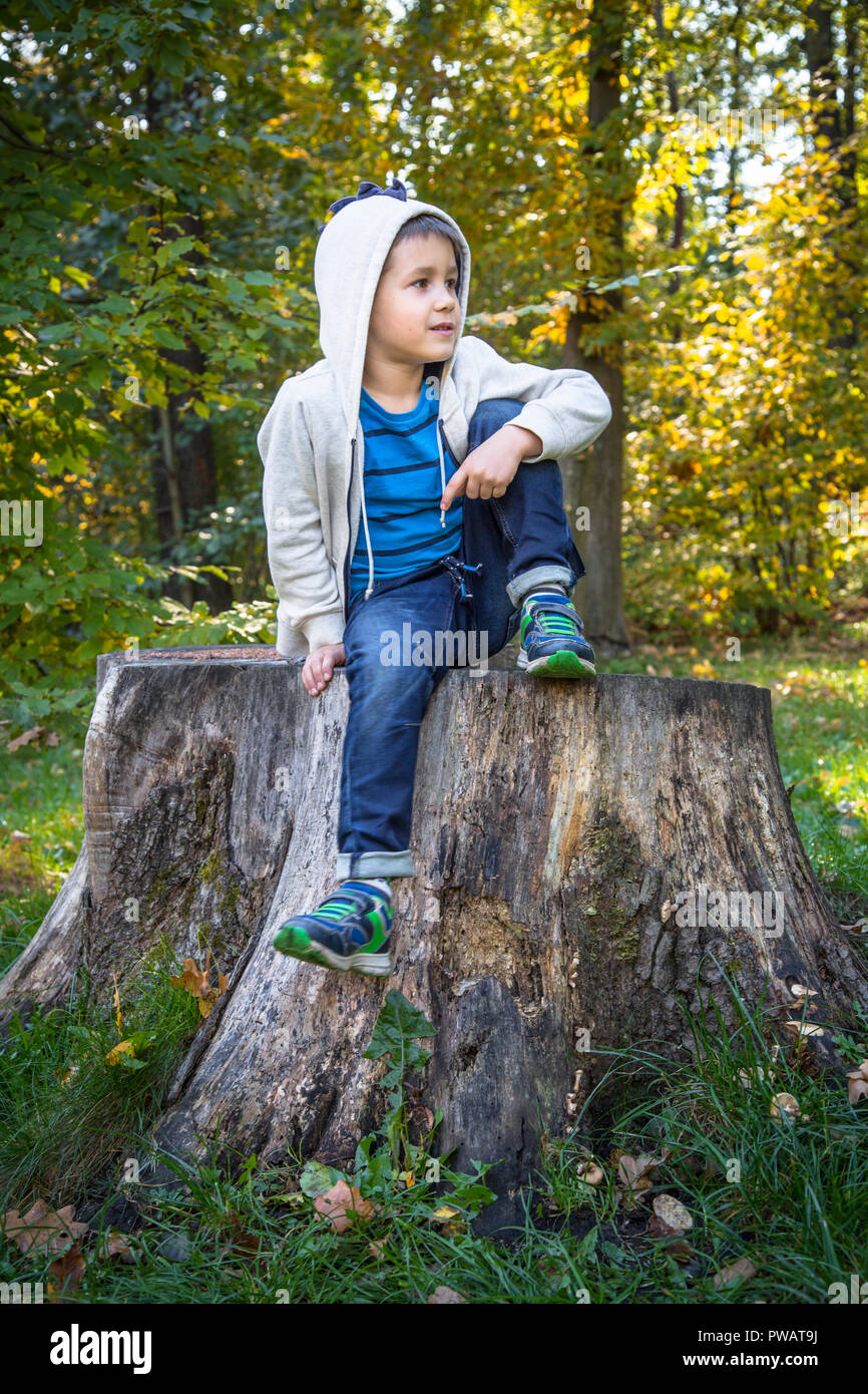 Boy in the park sitting on the tree stump Stock Photo - Alamy