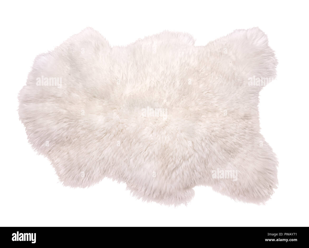 Beautiful white sheepskin isolated on white background. Warm carpet ...