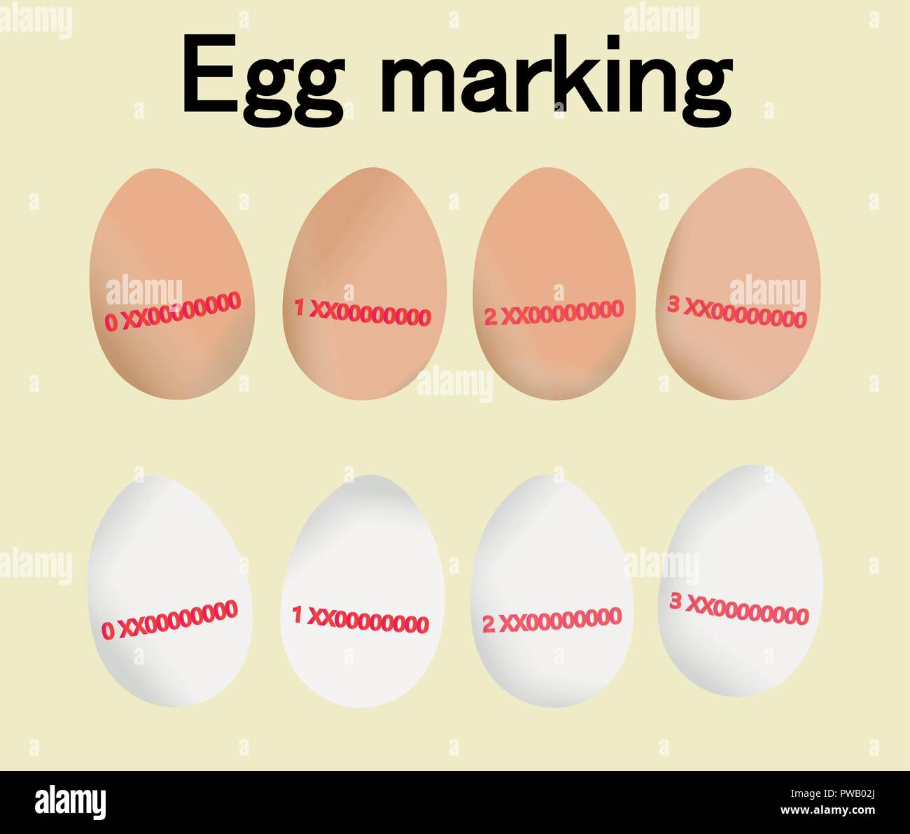 Egg Marking, set with the different class of egg codes. Red code or