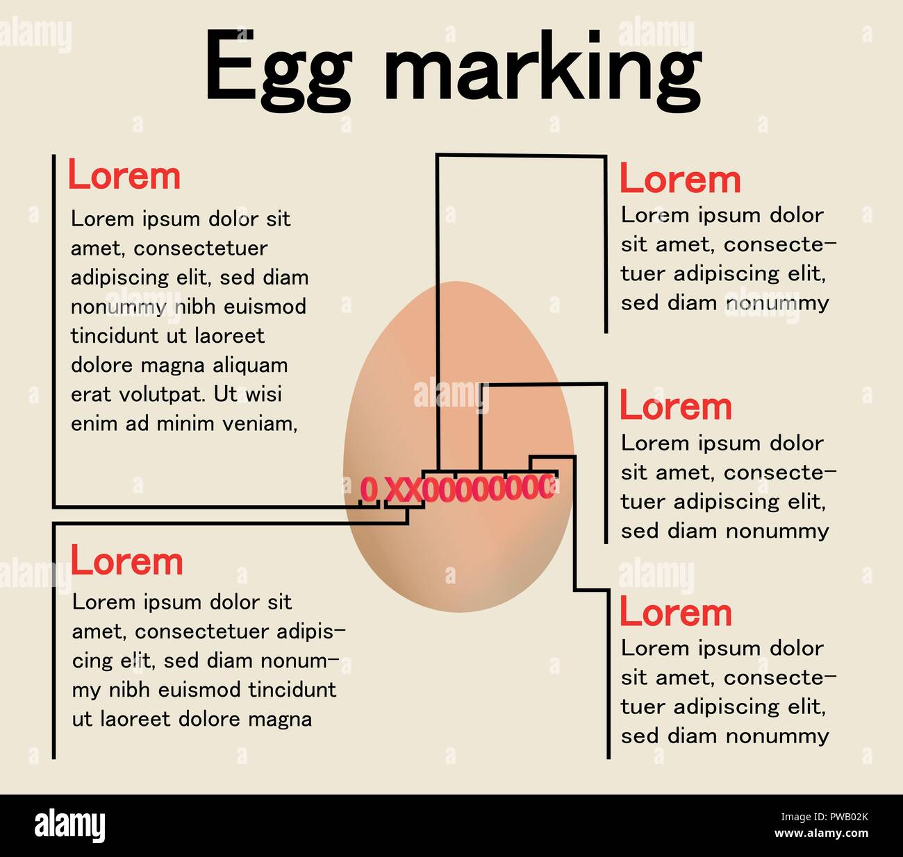 Egg Marking, presentation or infographic about the meaning of the
