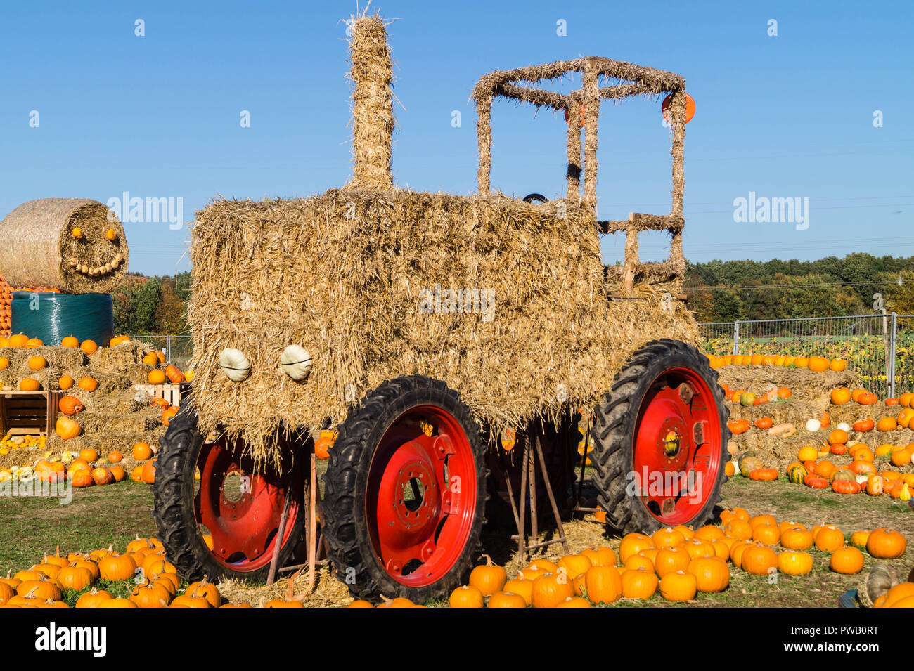 Pumpkins on a farmers market Stock Photo - Alamy