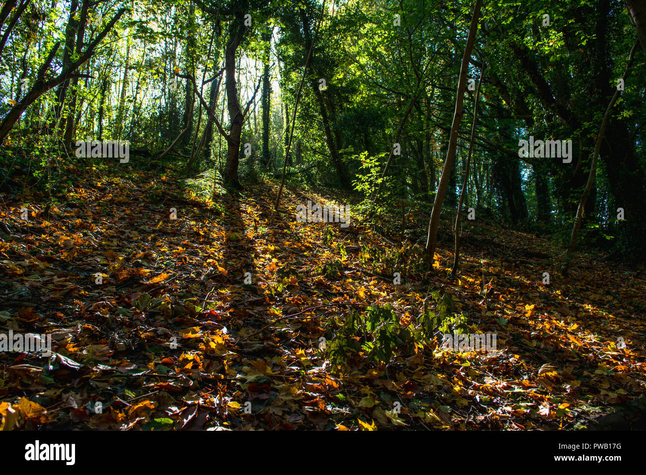 Stormont Estate East Belfast County Down Northern Ireland Stock Photo Alamy