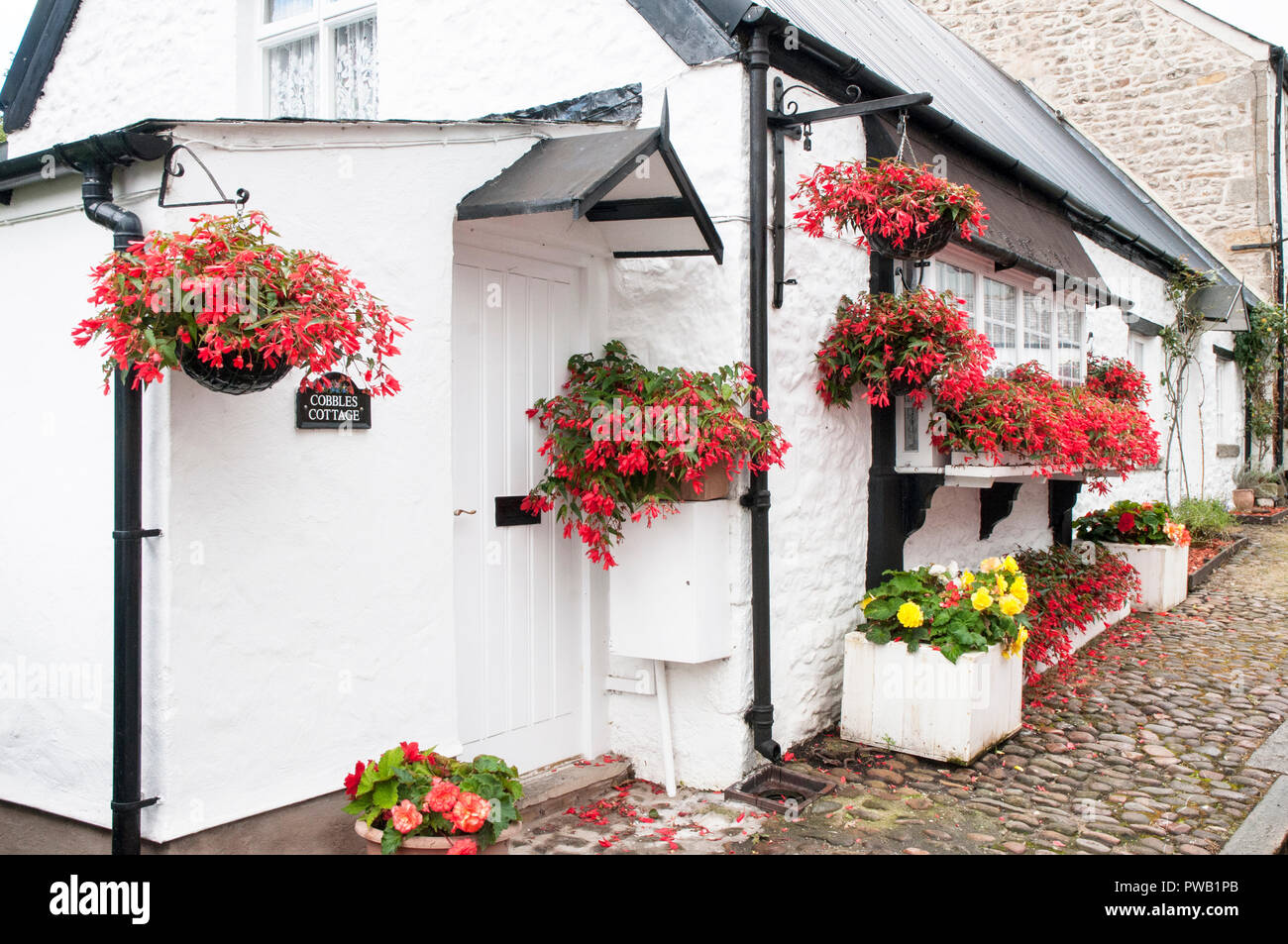 Black and white cottage with hanging baskets and window boxes outside