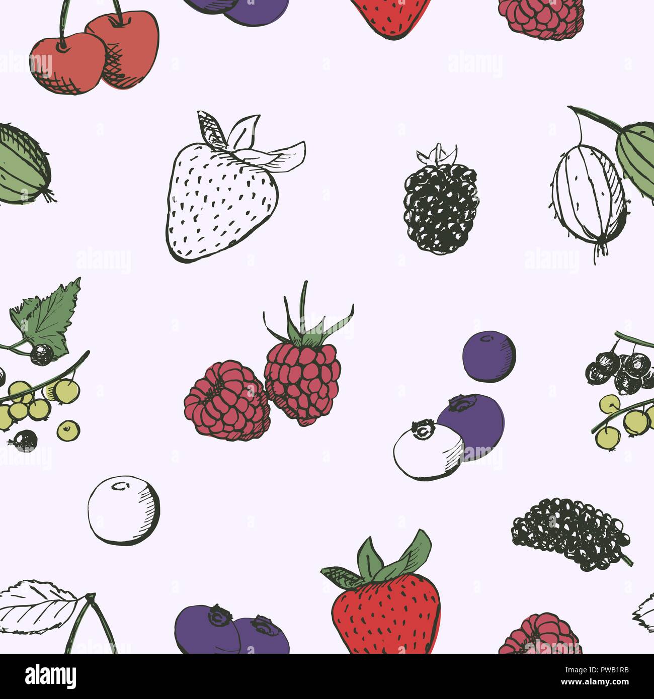 Berries seamless pattern. Vintage hand drawn berries sketches. Cherry, strawberry, gooseberry, currant, raspberry, bilberry, blueberry, mulberry. Stock Vector