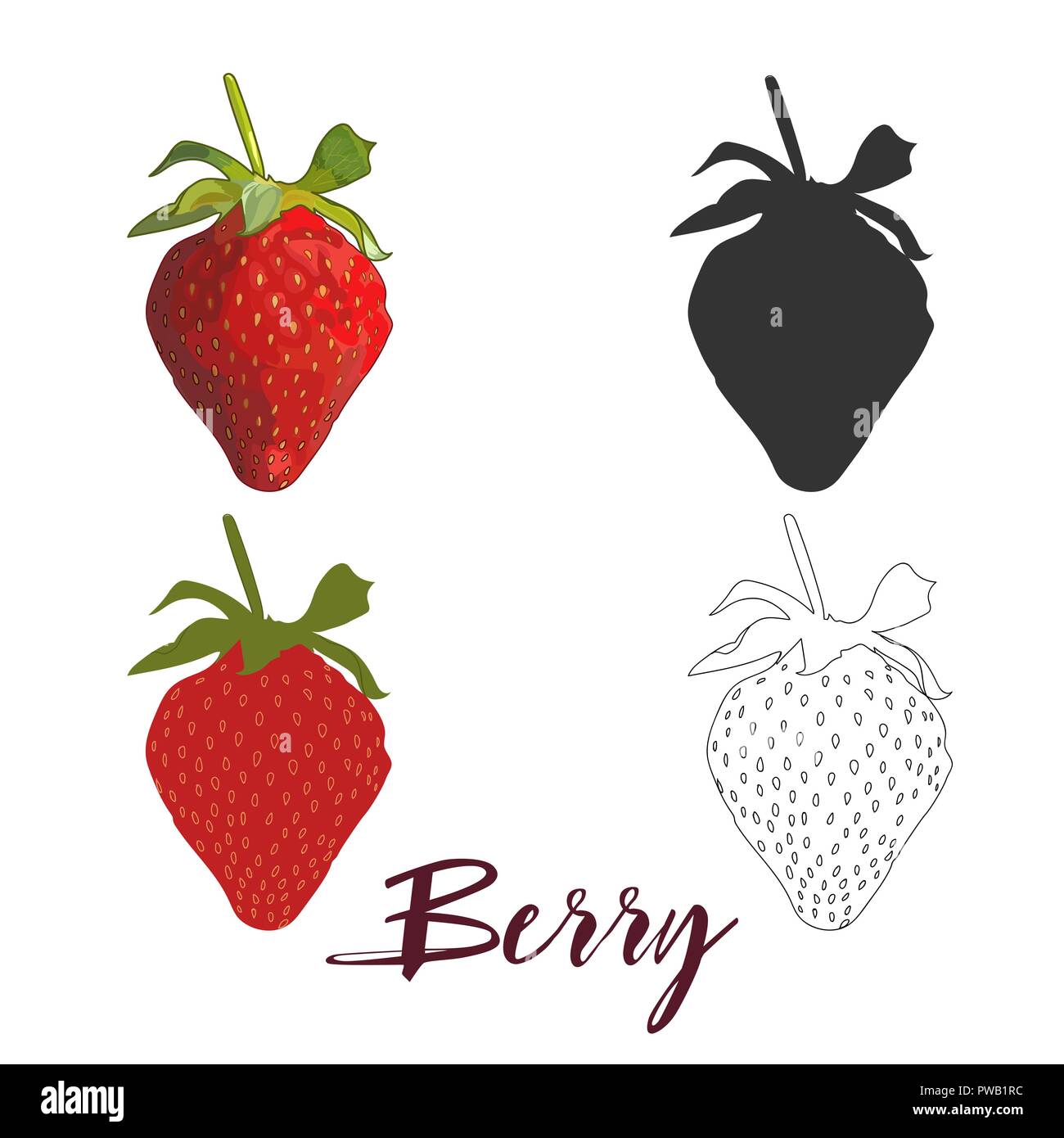 Juicy strawberries isolated on white background. Hand drawn outline sketch and strawberry silhouette. Stock Vector