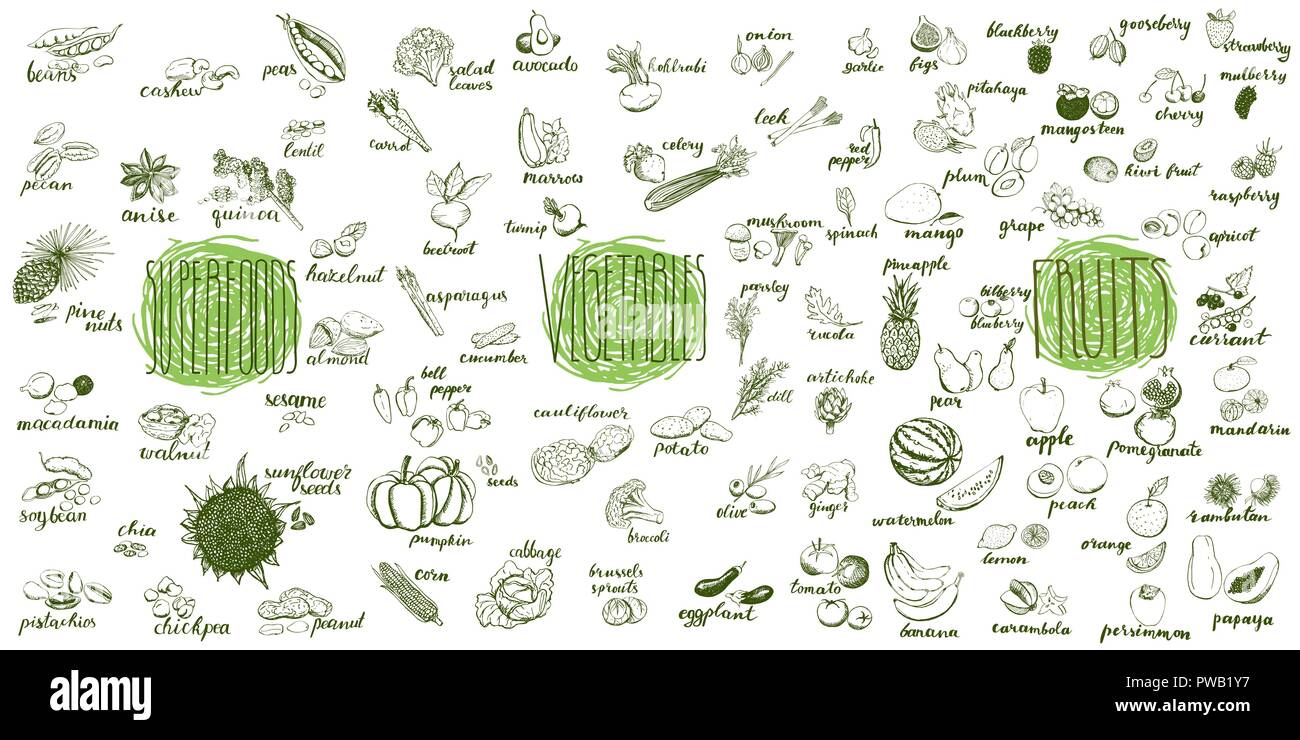 Fruits, vegetables and superfoods collection. Hand drawn set of healthy and organic food. Multiset of vegetable and fruits sketches for menu design. Stock Vector