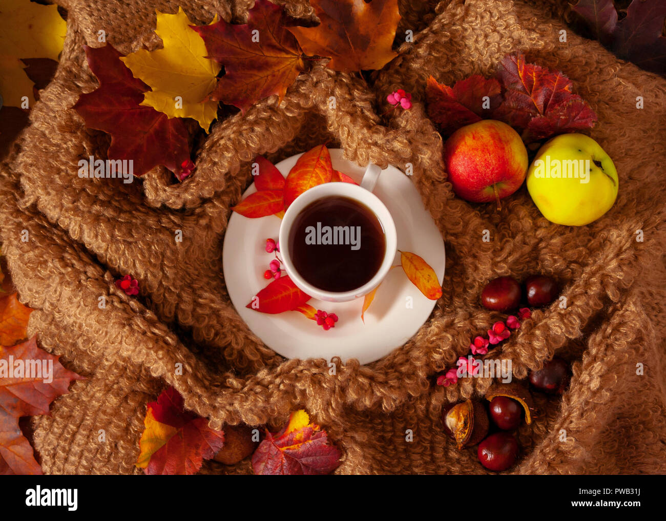 white cup with hot tea, steam, woolen material surrounds a saucer, colorful maple leaves on a cloth, two apples and chestnuts, an autumn look, Stock Photo