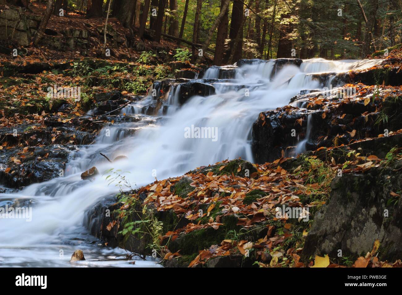 Vaughan Woods, Waterfalls, Hobbit Land, National Park, Hiking Trail