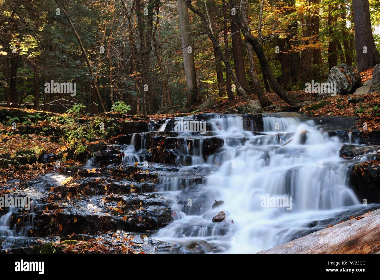 Vaughan Woods, Waterfalls, Hobbit Land, National Park, Hiking Trail