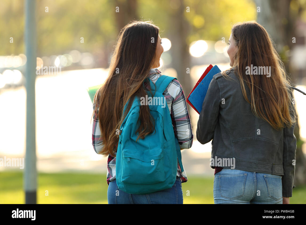 Back view of two happy students walking and talking in a university campus Stock Photo