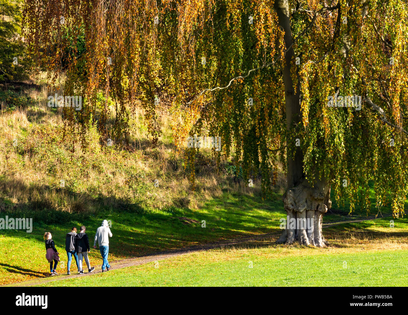 Dalkeith Country Park Midlothian Scotland United Kingdom UK Weather dalkeith-country-park-midlothian-scotland-united-kingdom-uk-weather