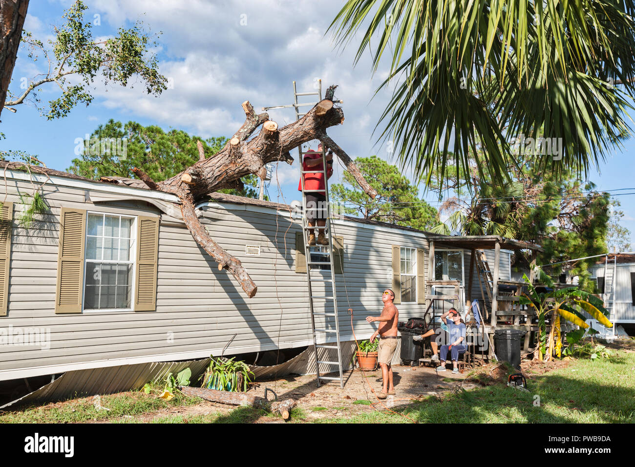 Panama City, Florida, USA. 14th Oct, 2018. Martin & Derek Krepp Cut Tree That Fell On Their Home After Hurricane Michael in Panama City Florida Credit: Rick Cooper/Alamy Live News Stock Photo