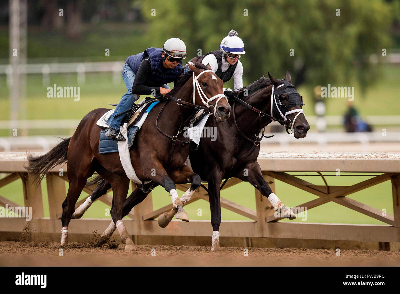 Arcadia, CA, USA. 14th Oct, 2018. October 14 2018 : Breeders' Cup Juvenile Flllies contender Vibrance (outside) works in company with Paved at Santa Anita Park on October 14, 2018 in Arcadia, California. Evers/ESW/CSM/Alamy Live News Stock Photo