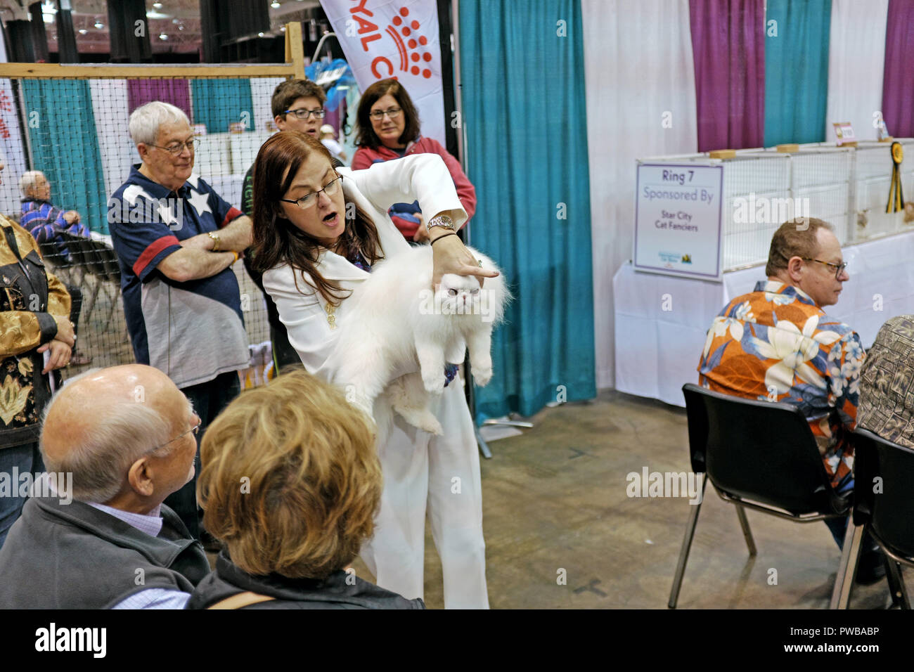 Cleveland, Ohio, USA, 15th Oct, 2018.  A judge explains to a crowd her assessment of a white Persian and why she was chosen as the winner of one of the competitions at the 2018 Cat Fanciers' Association International Cat Show in Cleveland, Ohio, USA.  The pedigreed cat show is the largest of its type in the US and operates from an 'open-style' cat judging model in which the owner of the feline, and spectators, watch the competition.  Credit: Mark Kanning/Alamy Live News. Stock Photo