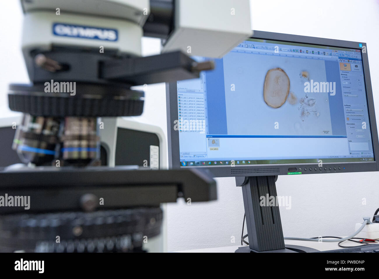 Pollen Database Profilers hi-res stock photography and images - Alamy