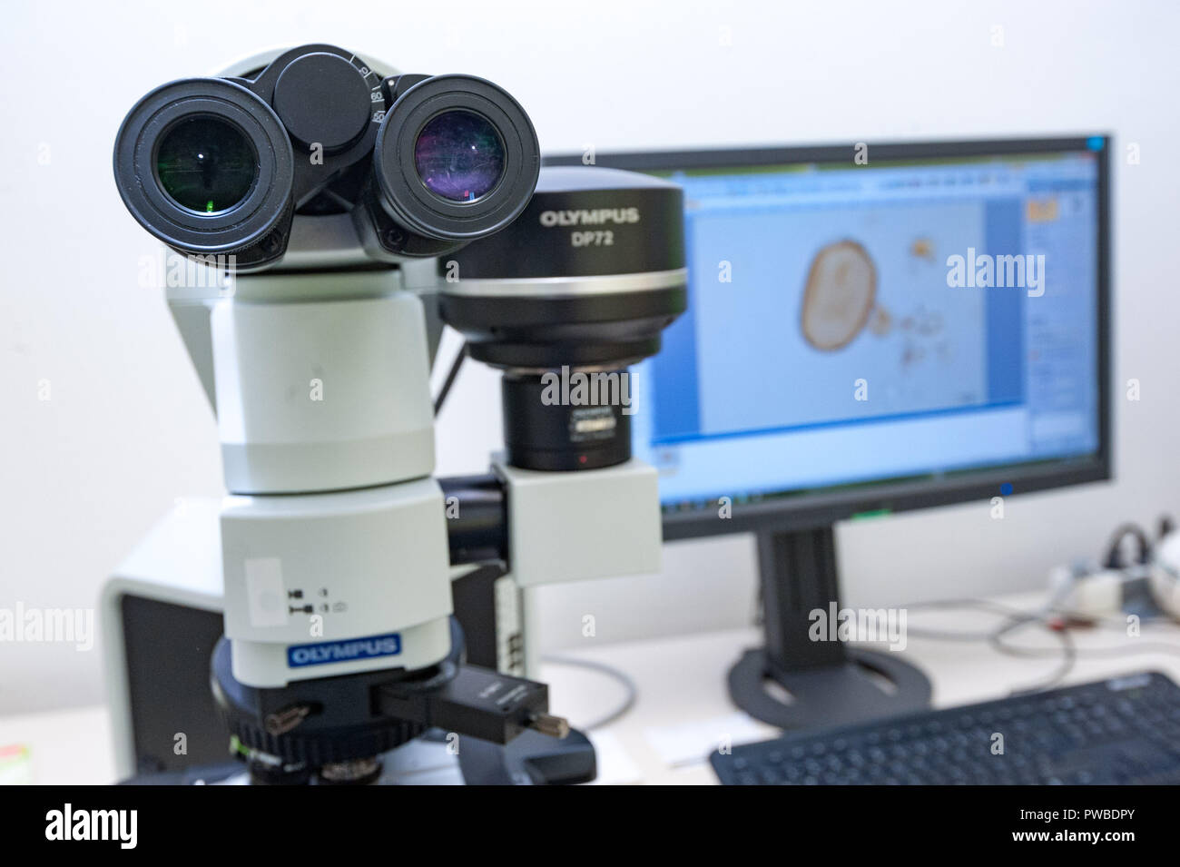 Pollen Database Profilers hi-res stock photography and images - Alamy