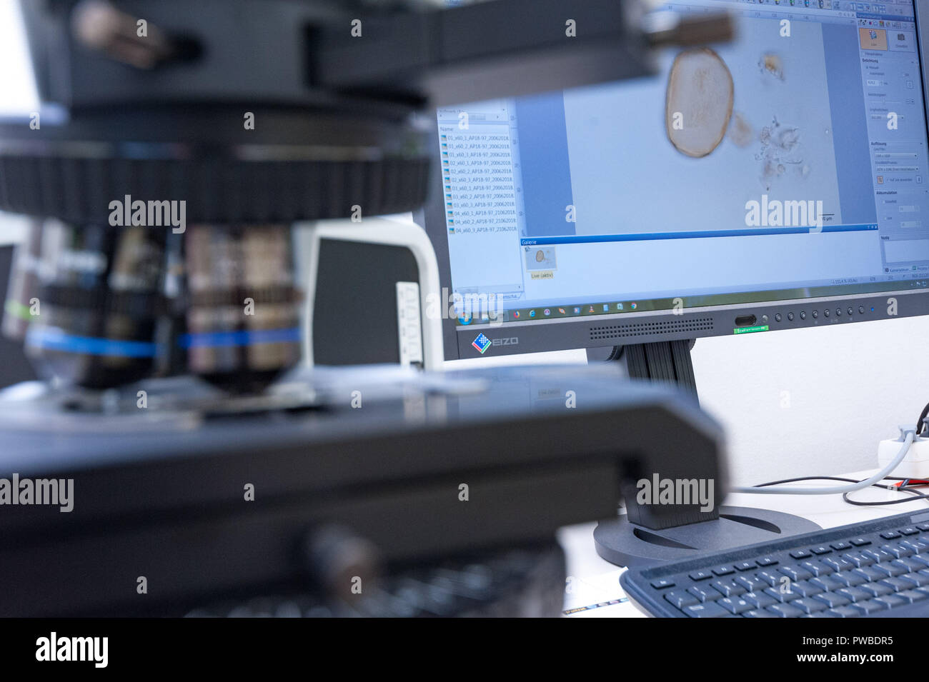 Pollen Database Profilers hi-res stock photography and images - Alamy