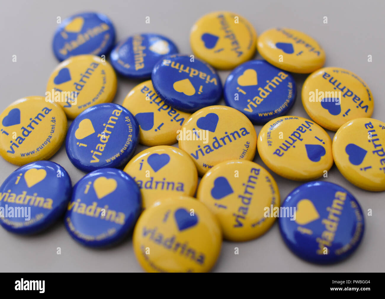 15 October 2018, Brandenburg, Frankfurt (Oder): Viadrina European University badges are lying on a table during a press conference on the start of the new academic year. The new President of the European University Viadrina, Julia von Blumenthal, will be officially inaugurated on 18.10.2018 at a ceremony. The Viadrina lives from its internationality, which goes far beyond the framework of Europe: Around 6,500 students from more than 100 countries come together here. Photo: Patrick Pleul/dpa-Zentralbild/dpa Stock Photo