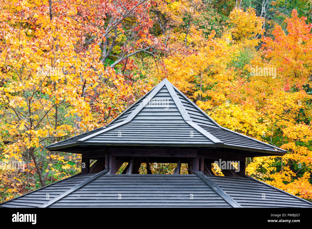 Ancient wooden roofing detail with yellow and red autumn foliage background Stock Photo