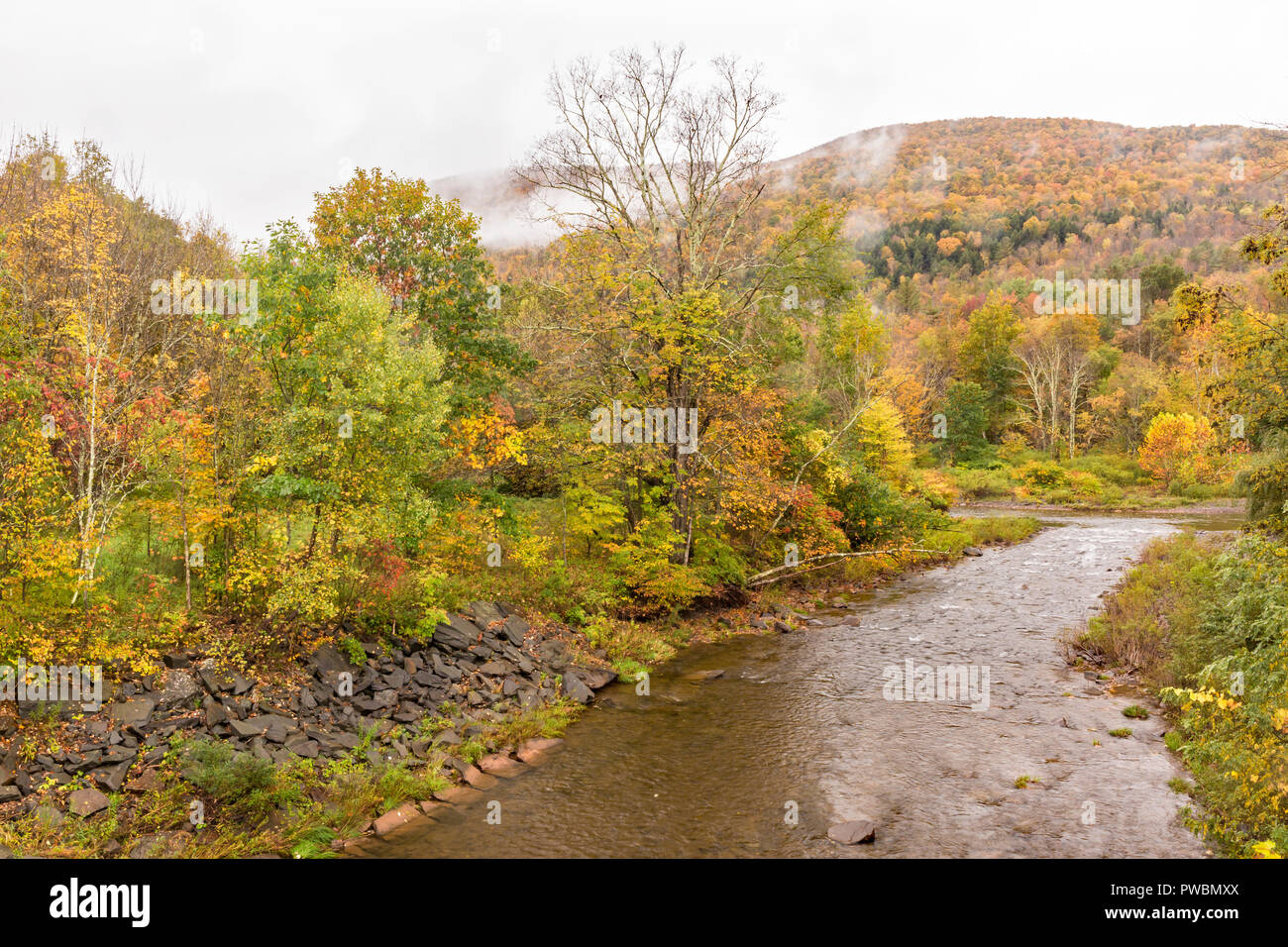 The East Kill flows into Schoharie Creek on a misty, rainy Autumn day