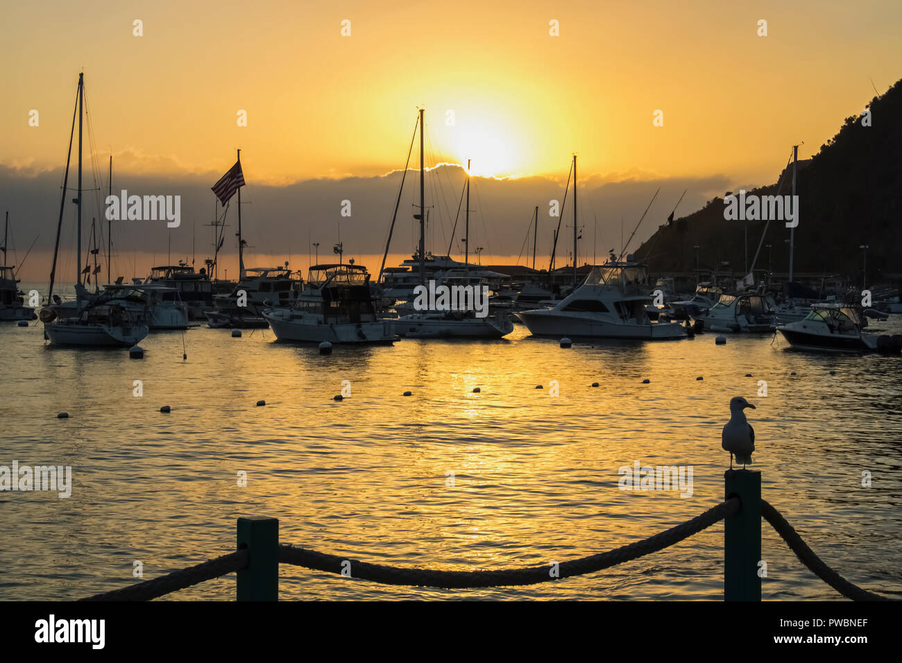 Sunrise over ocean harbor full of boats with American flag and seagull on post in foreground Stock Photo