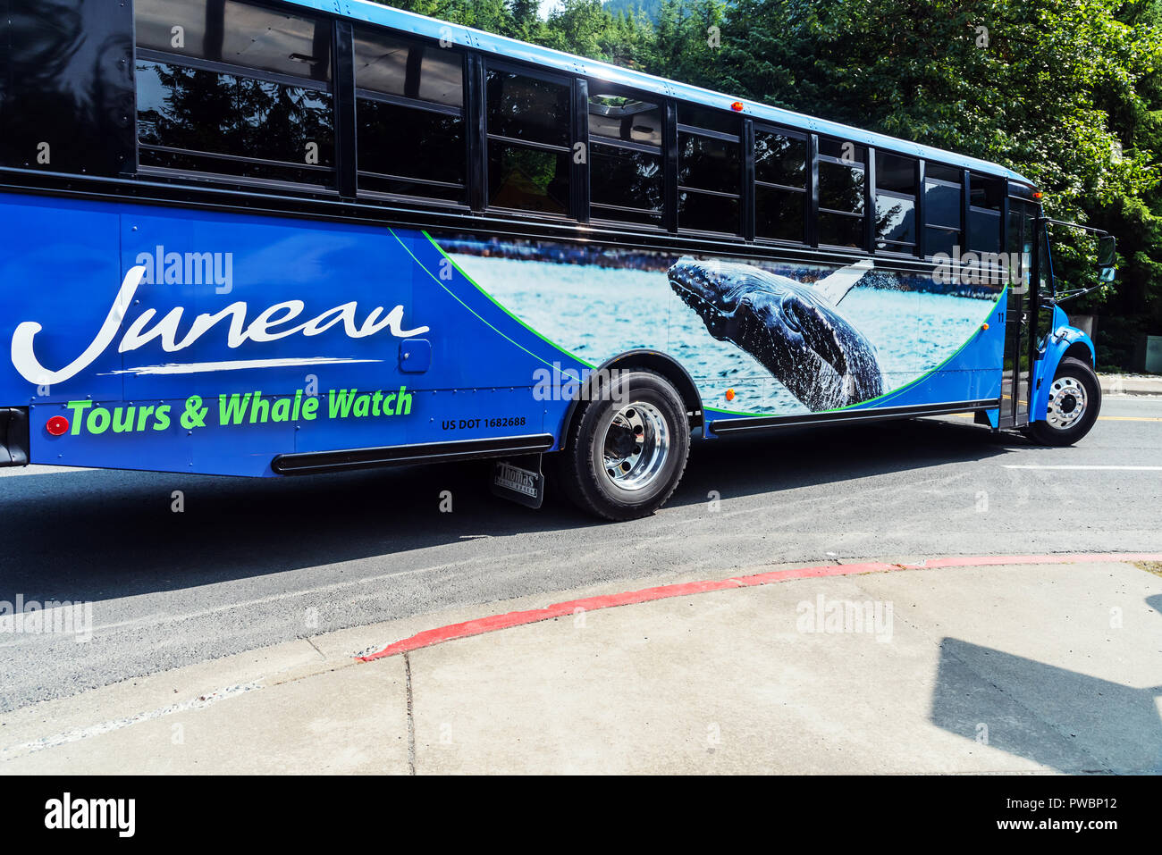 Blue Junean tour bus, Mendenhall Glacier , Mendenhall Valley, Alaska, USA Stock Photo