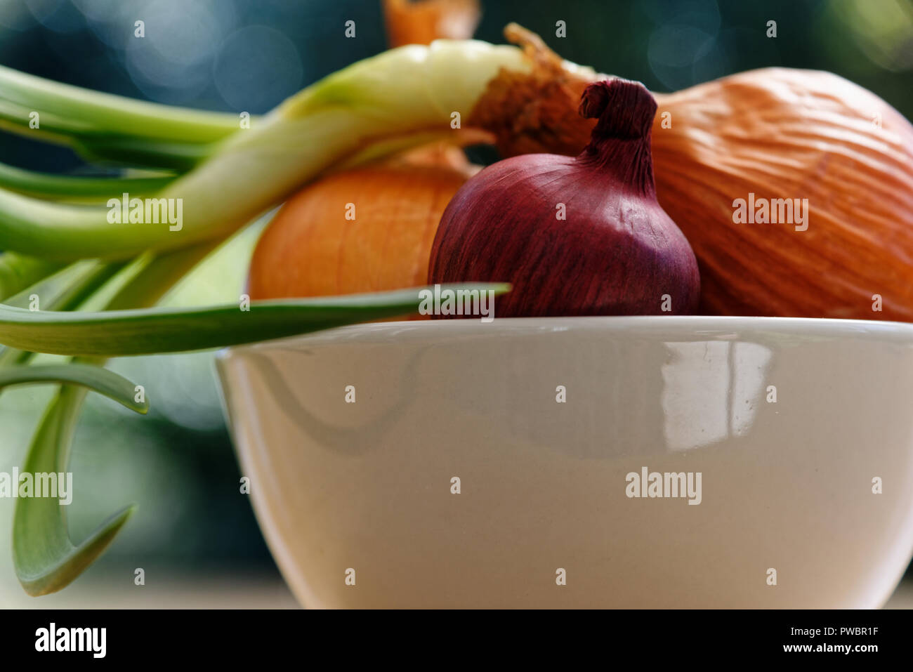 Onion that has sprouted with other onions Stock Photo