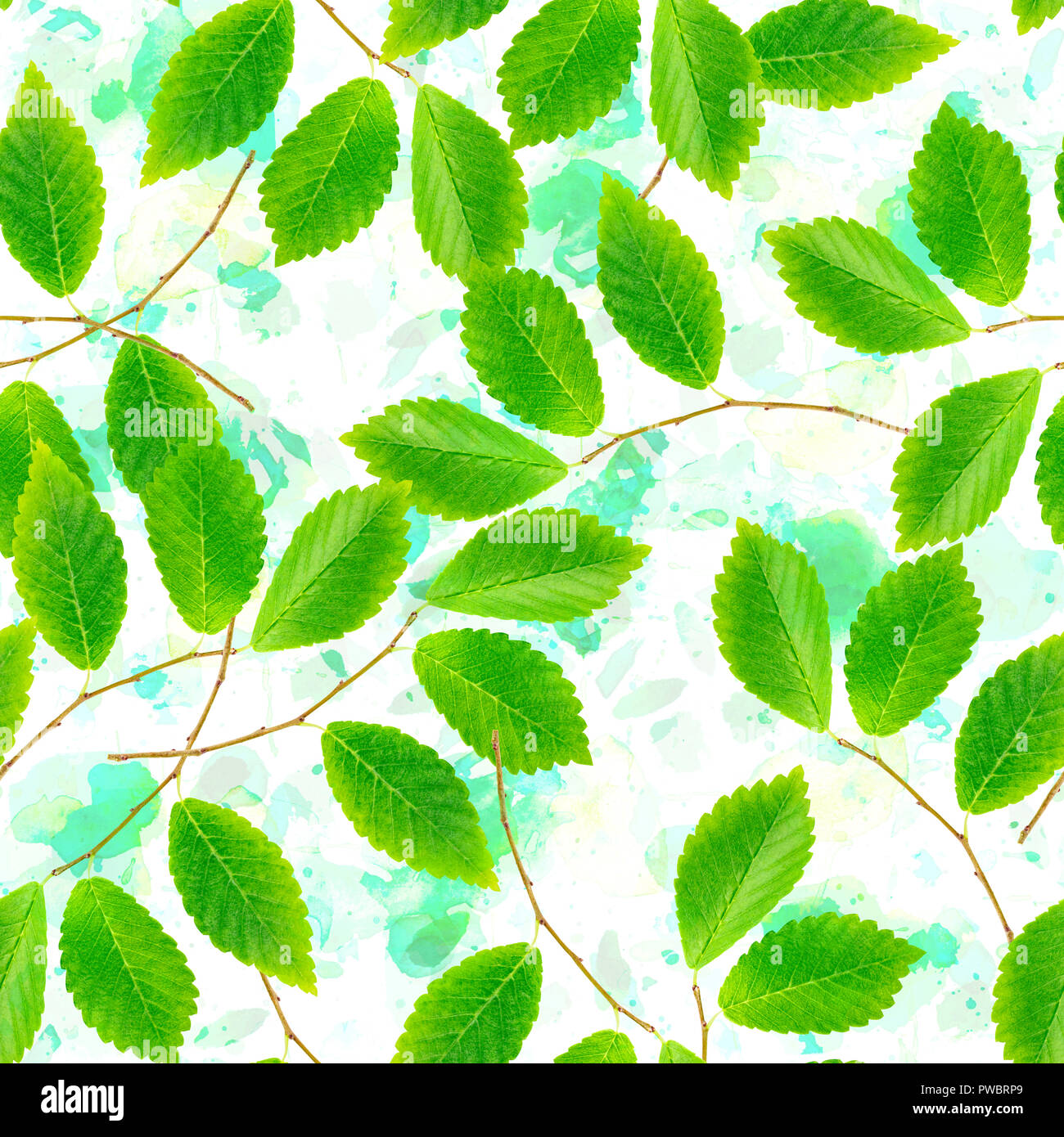 A seamless pattern of green leaves and branches on watercolour brush ...