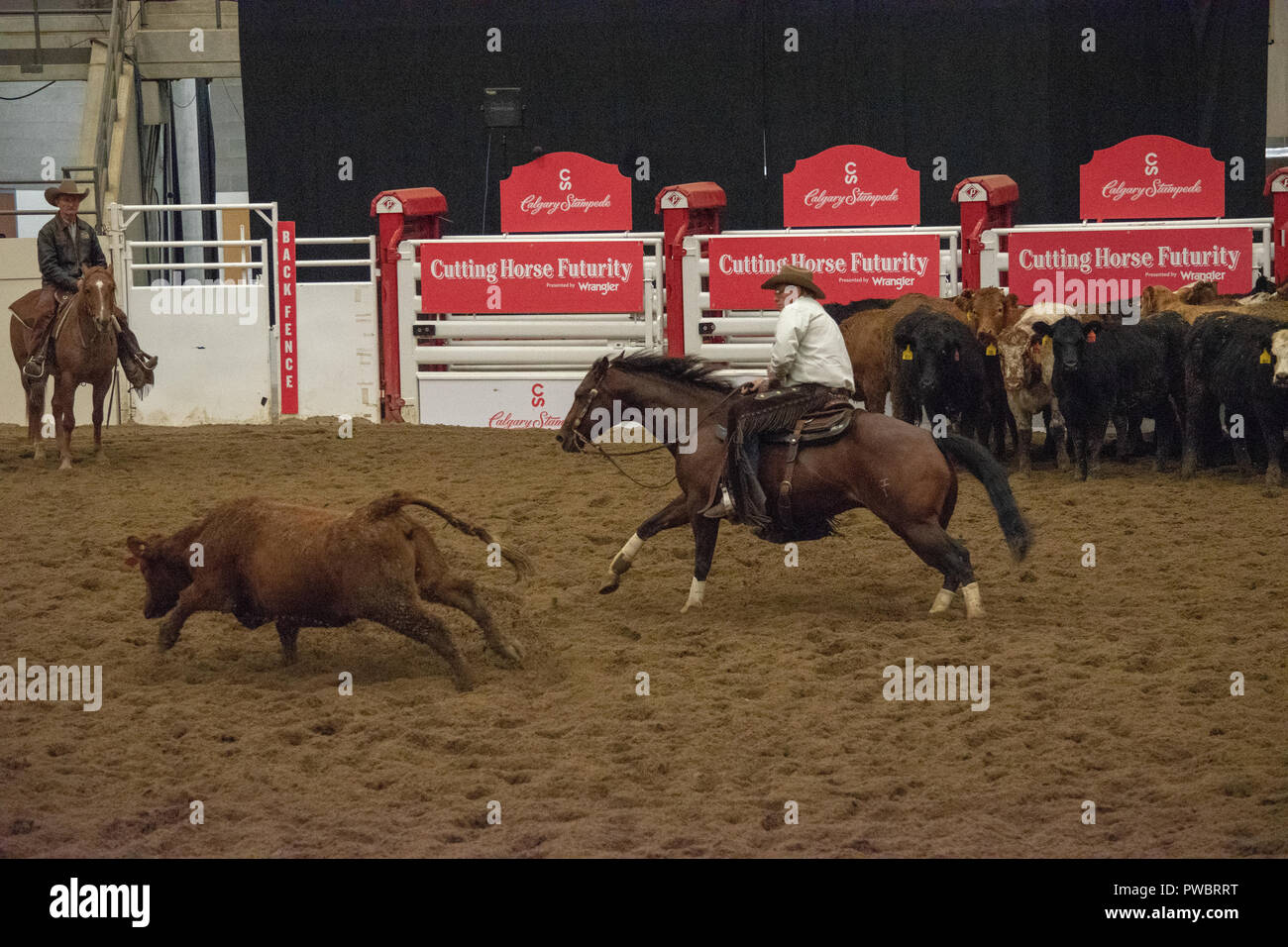 Cutting Horse Futurity, Nutrien Western Event Centre, Calgary Stampede