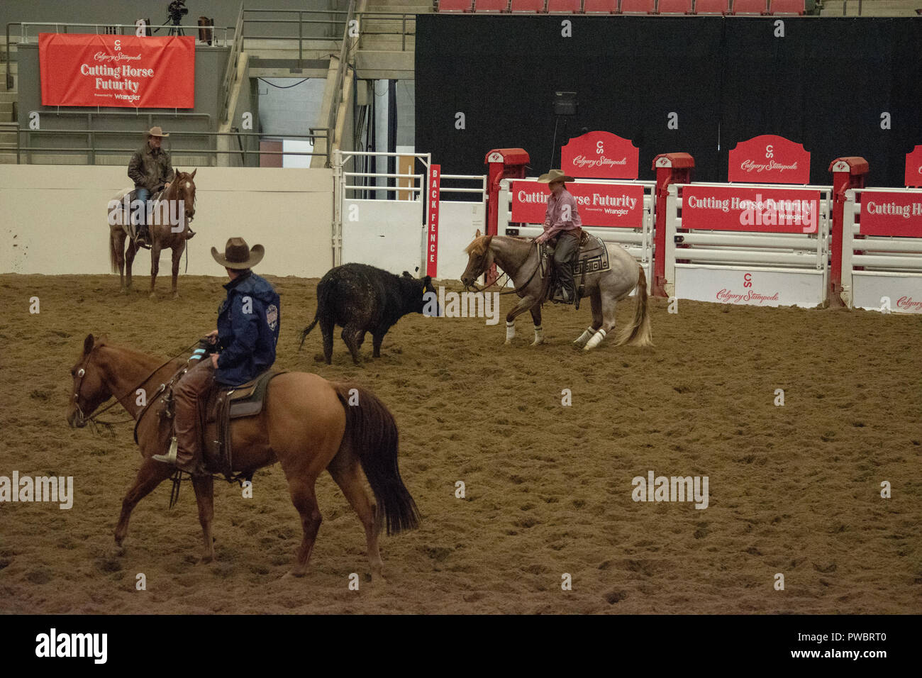 Cutting Horse Futurity, Nutrien Western Event Centre, Calgary Stampede
