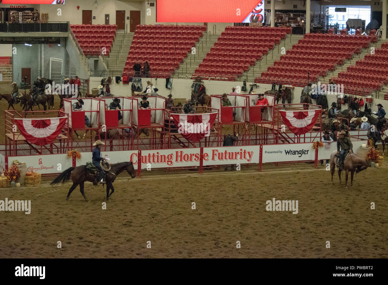 Cutting Horse Futurity, Nutrien Western Event Centre, Calgary Stampede