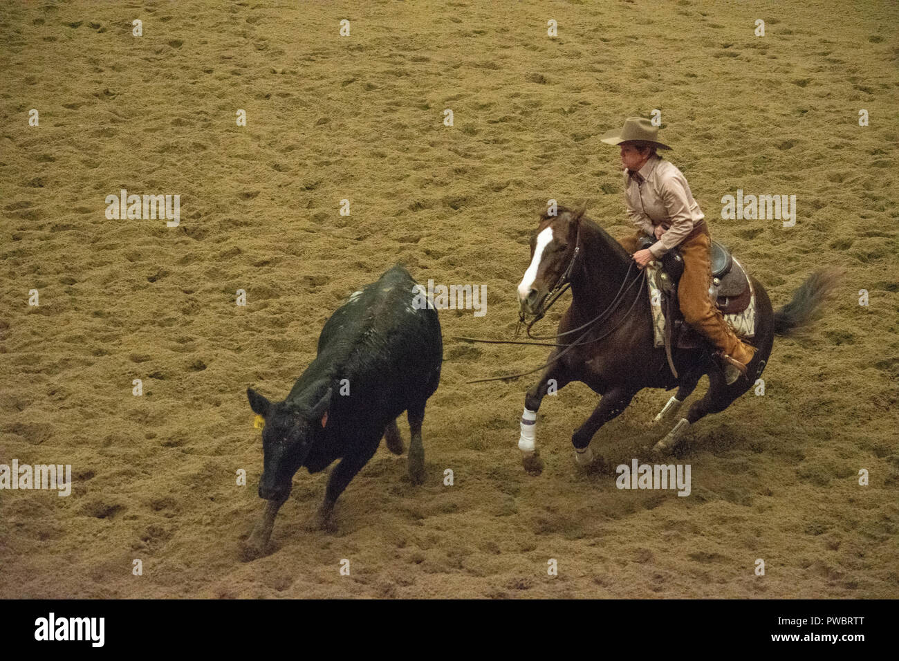 Cutting horse hires stock photography and images Alamy
