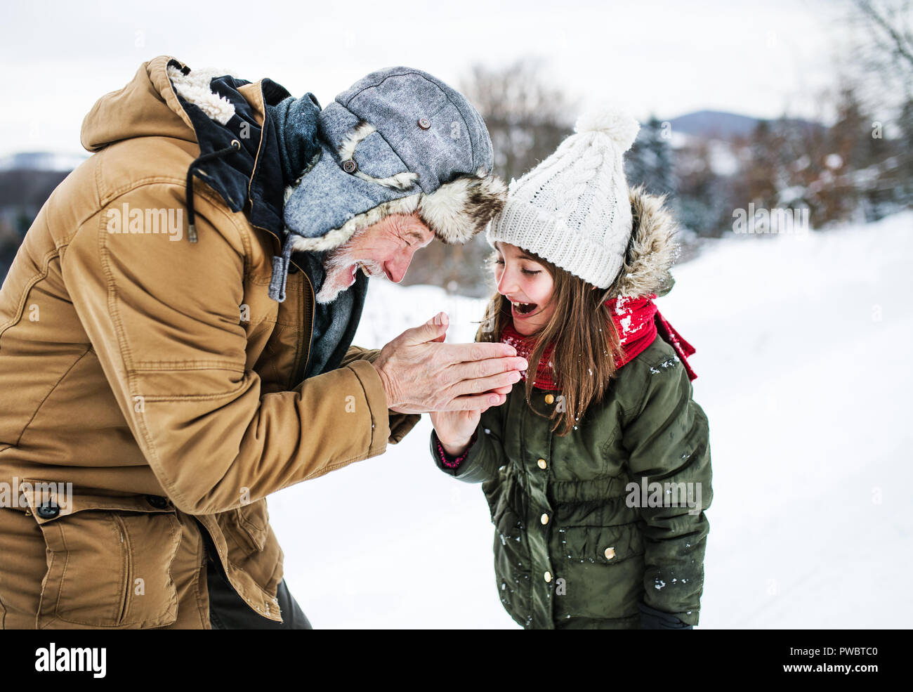 Senior grandfather warming hands of a small girl in snowy nature on a winter day. Stock Photo