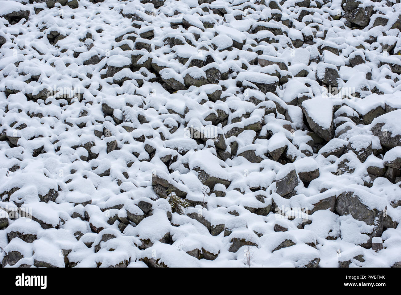 Scree slope, debris, stones covered with snow in the mountains Stock ...