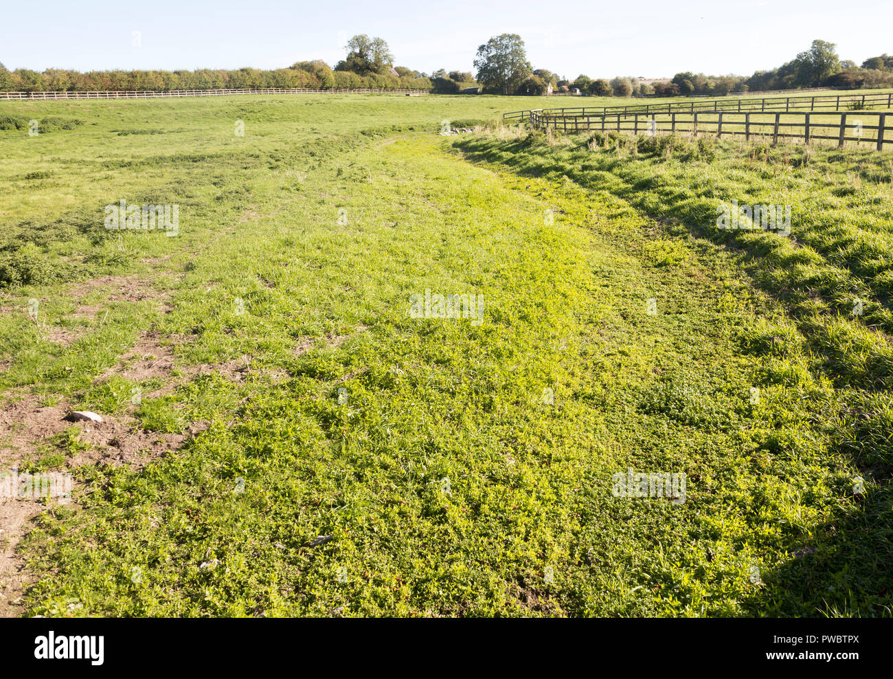 Dried up river bed and course in summer River Kennet, West Overton, Wiltshire, England, UK Stock Photo