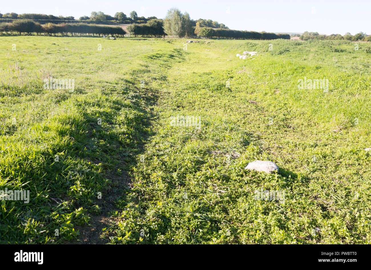 Dried up river bed and course in summer River Kennet, West Overton, Wiltshire, England, UK Stock Photo