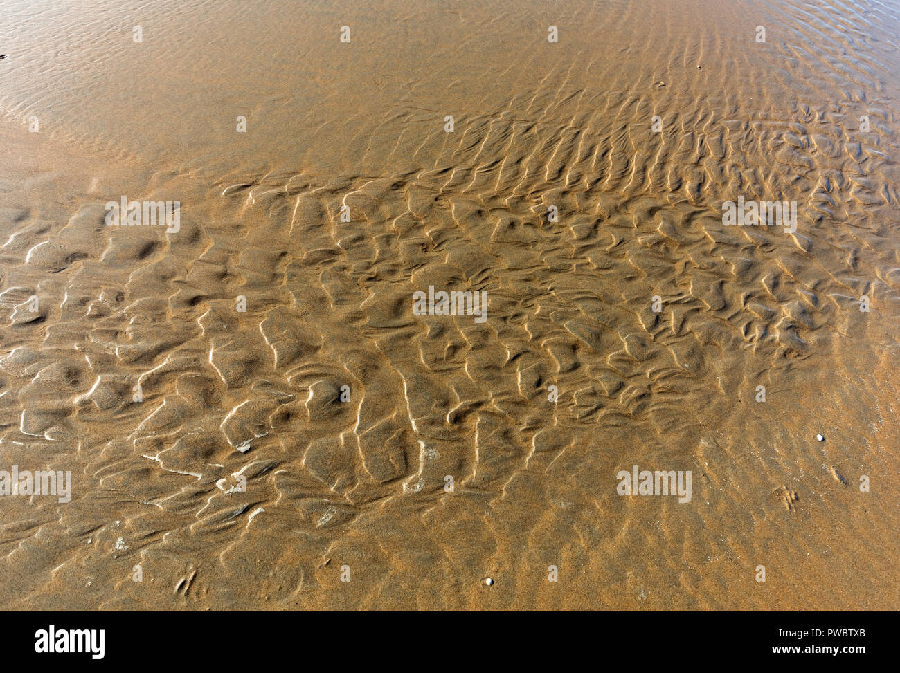 Tidal Ripple Sand ripple naturally formed by the low tide on the beach Stock Photo ...