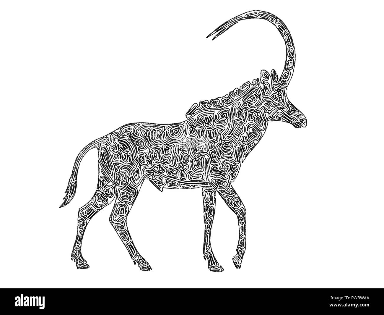 Illustration Antelope High Resolution Stock Photography and Images - Alamy