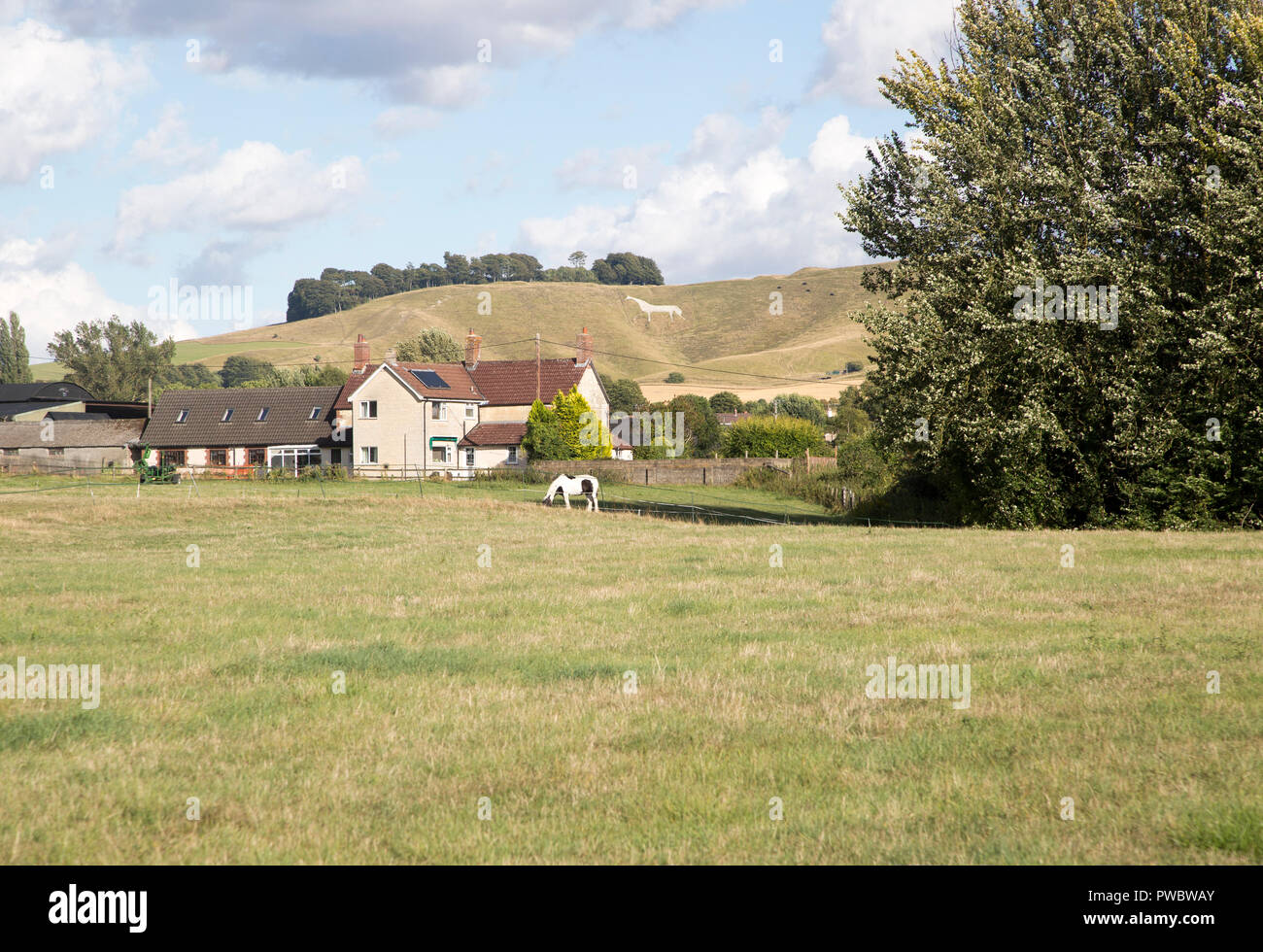 The White Horse chalk carving in hillside from Oare Farm, Cherhill