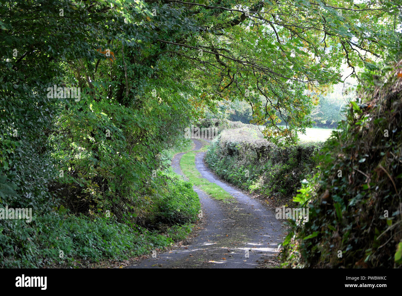 Rural Devon countryside in autumn England UK  KATHY DEWITT Stock Photo