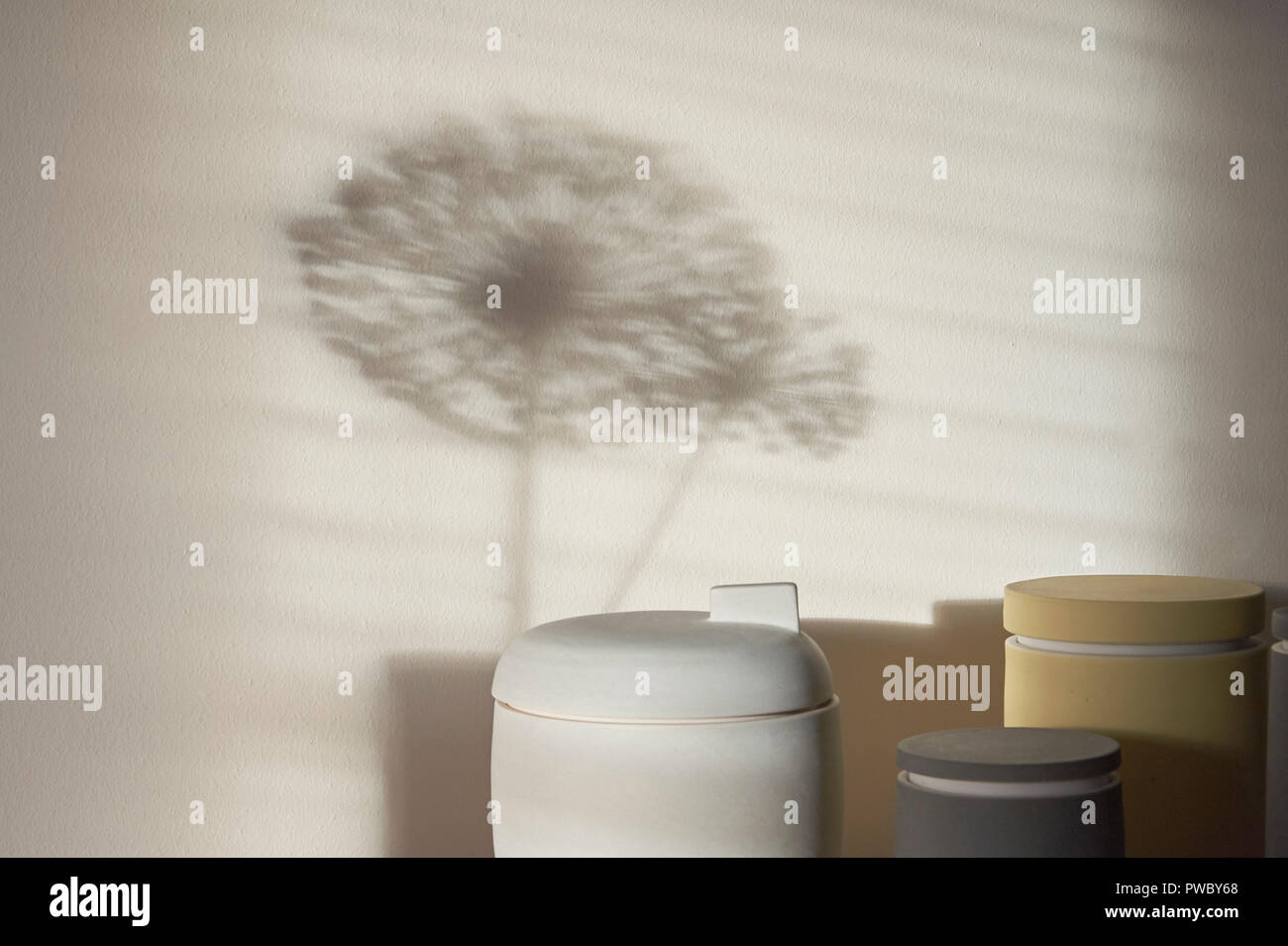 Alium shadow at home with contemporary ceramics Stock Photo