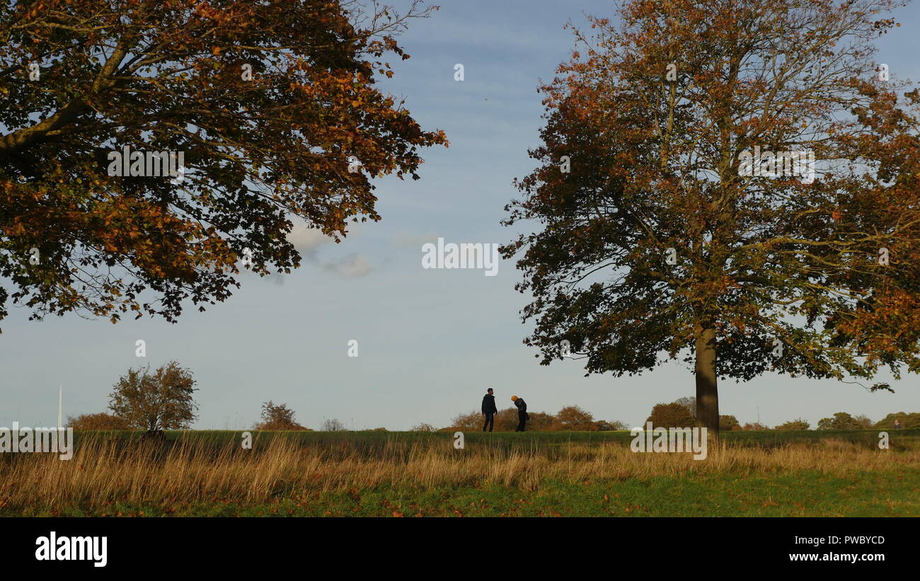 Autumn walk in a park hi-res stock photography and images - Alamy