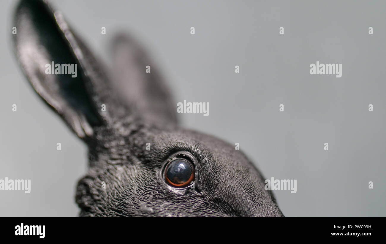 Fake rabbit hi-res stock photography and images - Alamy
