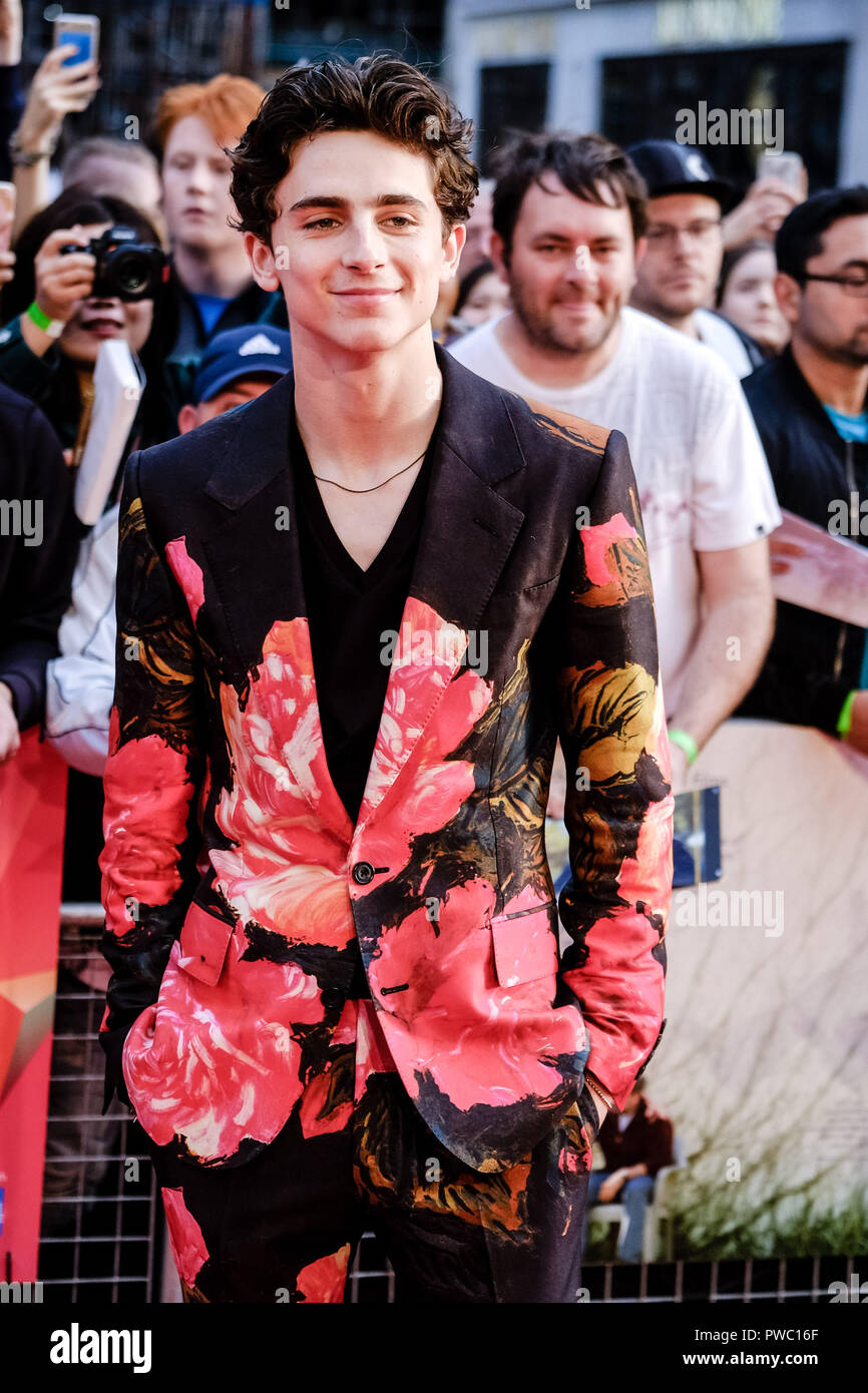 Timothee chalamet hi-res stock photography and images - Alamy