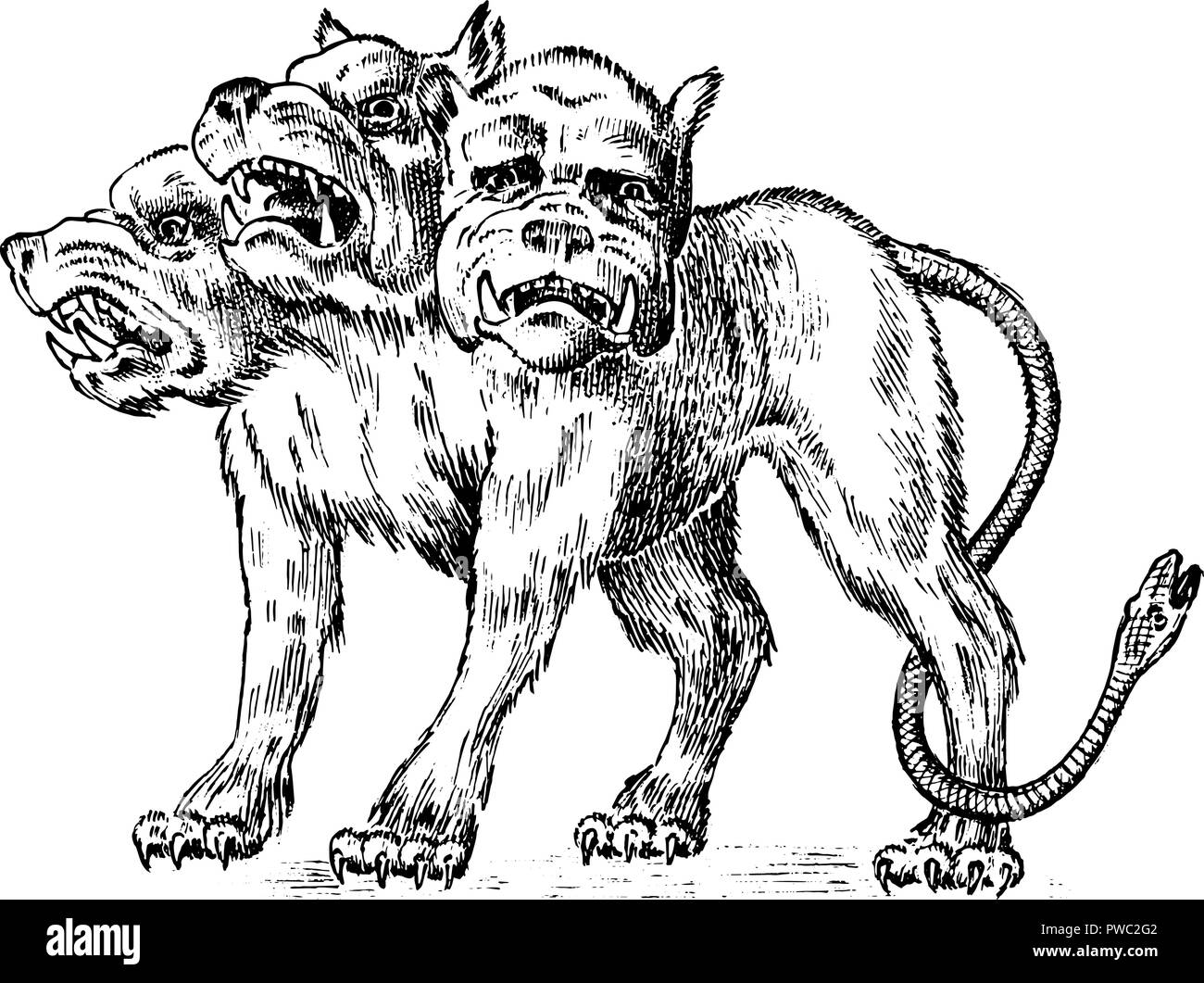 Cerberus three headed dog. Mythical Greek antique monster. Mythological animal. Fantastic creatures in the old vintage style. Engraved hand drawn old sketch. Stock Vector